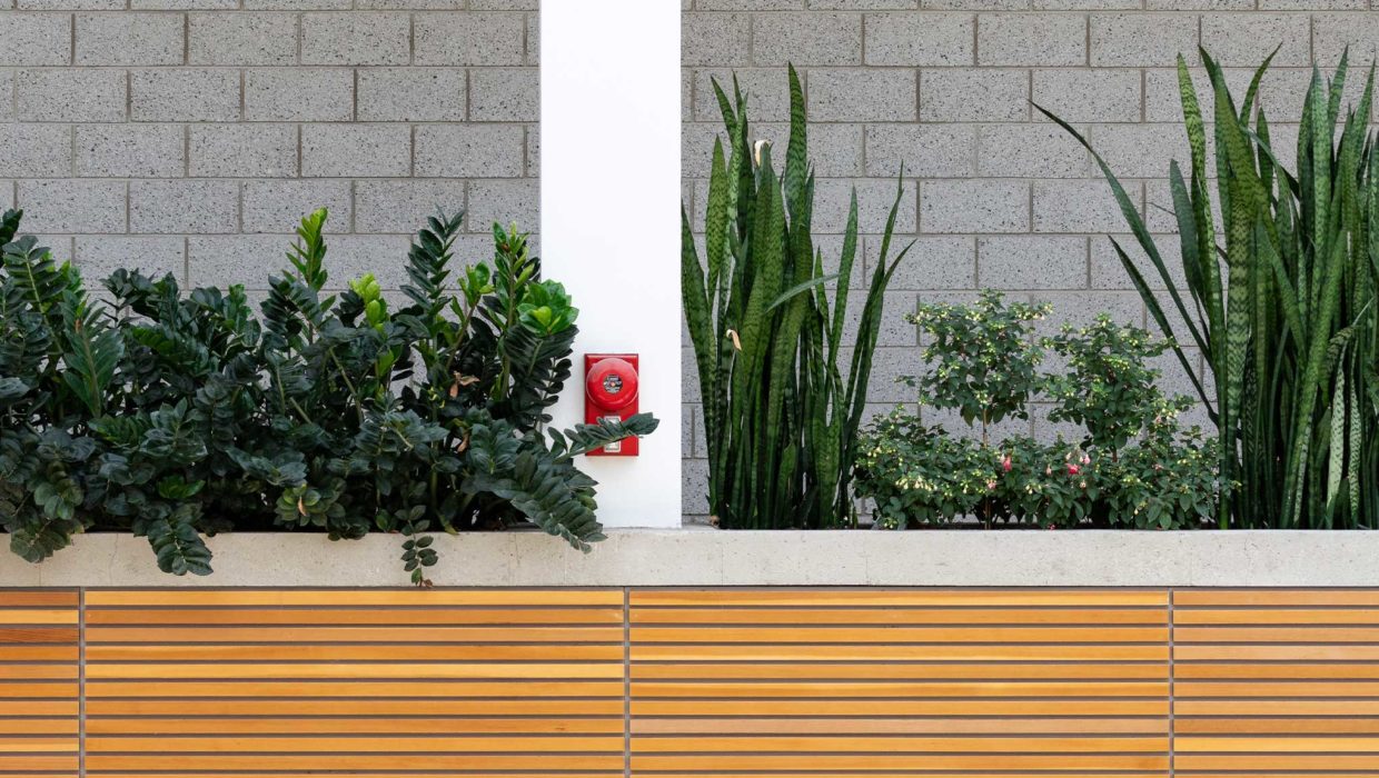 Urban Green Spaces: Window Sills to Rooftop Gardens