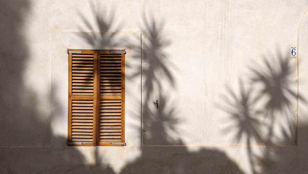 Woven Wood Shades